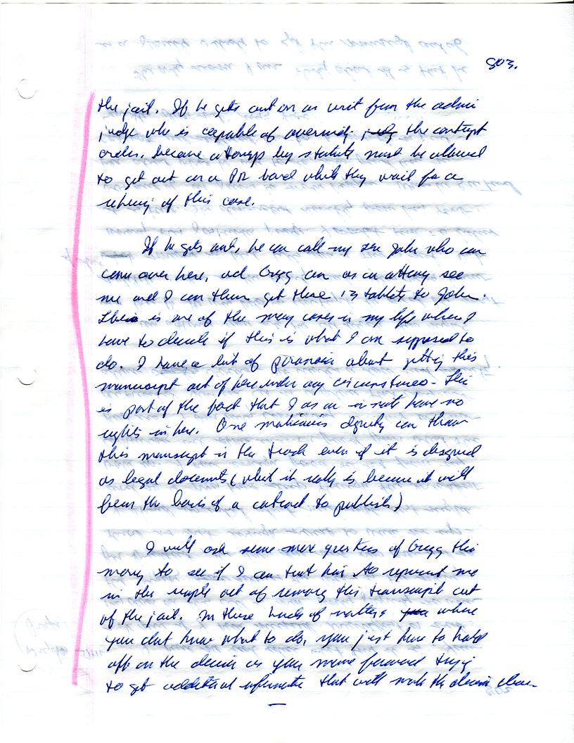 Dr John WorldPeace 2008 Prison Journal